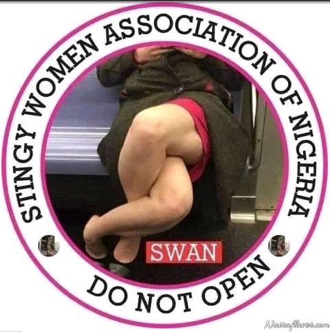 Stingy Women Association Of Nigeria Logo