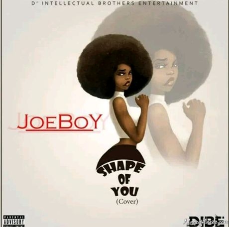 Joeboy – I’m In Love With Your Body