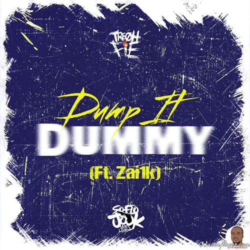 Zai1k ft. 2Rare — Dump it Dummy